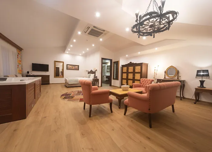 Elif Hanim & Hotel 3*