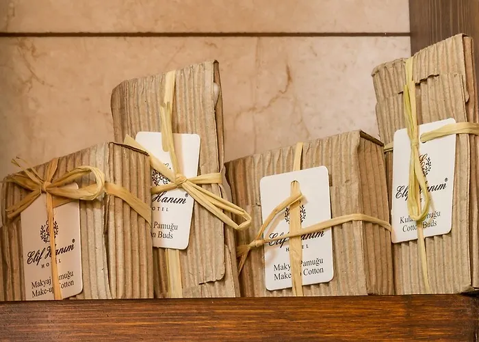 Hotel Elif Hanim & 3*